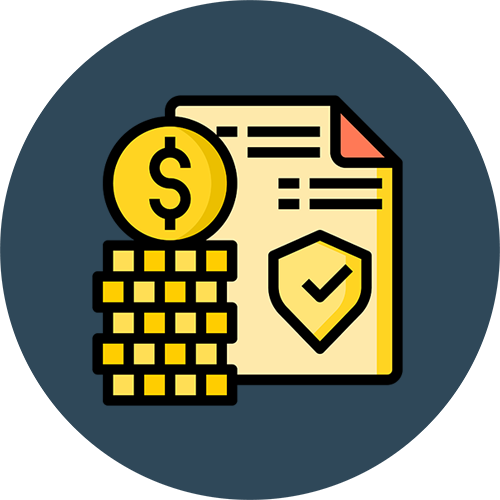 Total Insured Value icon